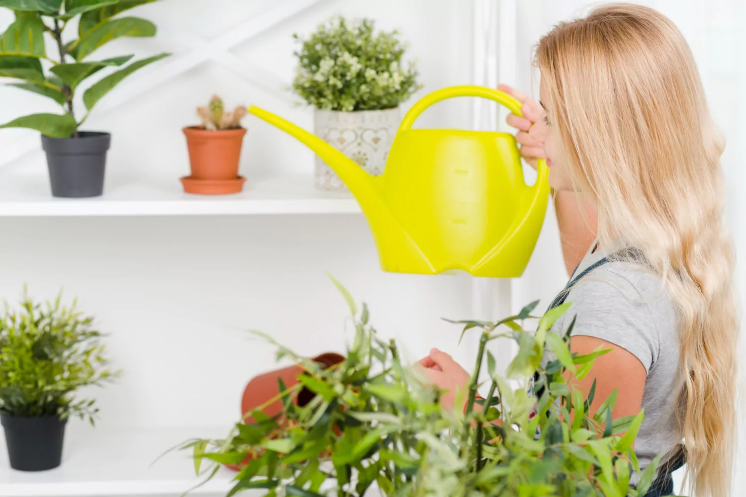 Arroser vos plantes au bon moment : voici les signes à repérer !