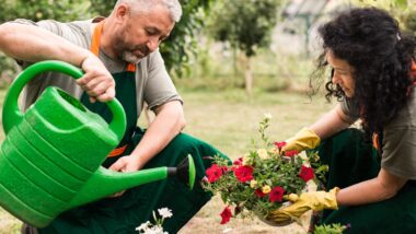 Les fleurs de septembre qui vont sublimer votre jardin le guide ultime pour jardiniers amateurs