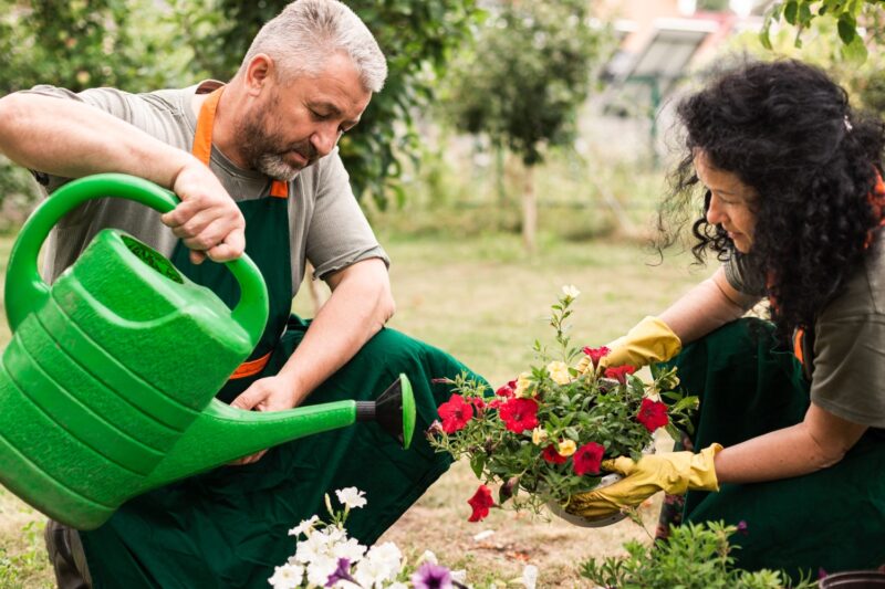 Les fleurs de septembre qui vont sublimer votre jardin le guide ultime pour jardiniers amateurs