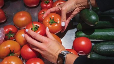 Marre du mildiou Découvrez des méthodes simples pour sauver vos tomates dès aujourd'hui !