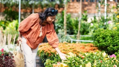 Voici le secret du paillage pour transformer radicalement votre jardin !