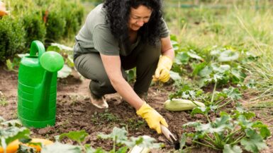 Voici pourquoi la rotation des cultures pourrait révolutionner votre potager