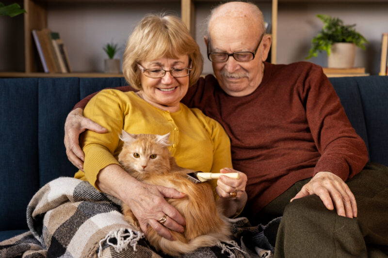 Voici comment les animaux de compagnie influencent la santé des seniors